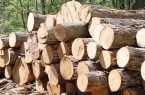 توقیف دو دستگاه خودروی حامل ۱۵۸ اصله چوب آلات قاچاق جنگلی در اردبیل