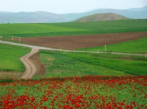 مغان به عنوان قطب گردشگری کشاورزی کشور معرفی می شود