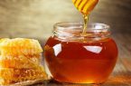 بیش از ۲ تن عسل تقلبی در اردیبل کشف شد