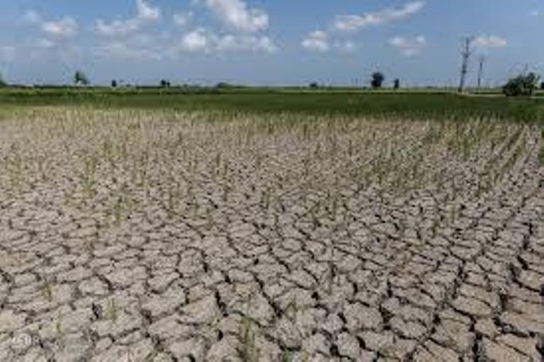 تهدید کشاورزی با تداوم خشکسالی در اردبیل