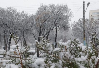 رحمت الهی دارالارشاد را سفید پوش کرد + تصاویر