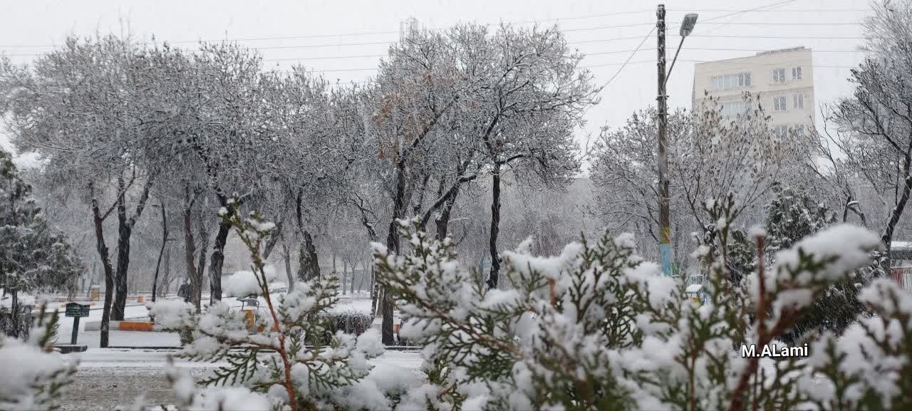 رحمت الهی دارالارشاد را سفید پوش کرد + ( آلبوم تصاویر)