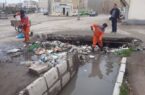 فرهنگسازی حلقه مفقوده مدیریت پسماند در اردبیل