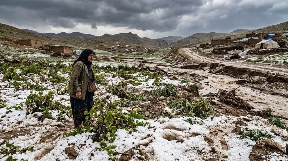 خسارت سیل به باغات مرادلو و قشلاقات ارشق