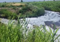 مرگ تدریجی رودخانه قرهسو زیر بار سنگین پساب شهری