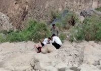 نجات گردشگر گیلانی از مرگ در منطقه مشکول